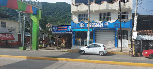 Dirección, horario, teléfono y opiniones de Hospital de Radiadores en Zihuatanejo