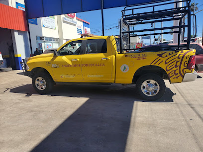 Dirección, horario, teléfono y opiniones de Napa Autocare Center en Ensenada