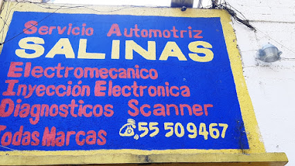Dirección, horario, teléfono y opiniones de Salinas en Álvaro Obregón