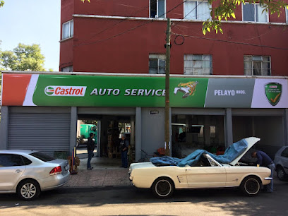 Dirección, horario, teléfono y opiniones de Servicio Pelayo Hermanos Automotriz en Miguel Hidalgo