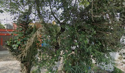 Dirección, horario, teléfono y opiniones de G3 Mantenimiento Automotriz en Ecatepec de Morelos