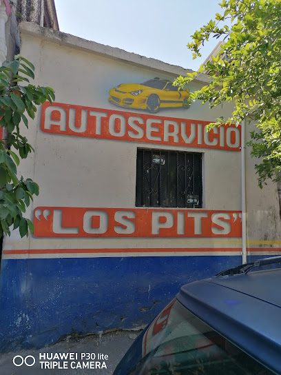 Dirección, horario, teléfono y opiniones de Los Pits en Zihuatanejo