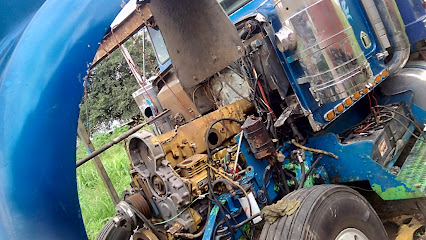 Dirección, horario, teléfono y opiniones de Taller Mecánico Los Papayos en Tepic