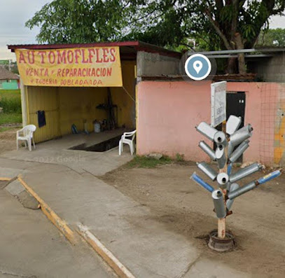 Dirección, horario, teléfono y opiniones de Auto Mofles en Altamira