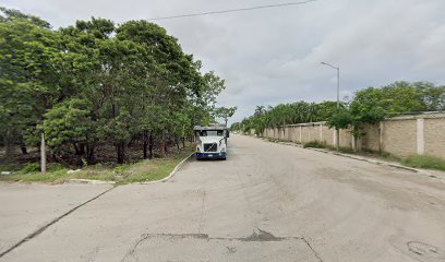 Dirección, horario, teléfono y opiniones de Técnica Automotriz Especializada (Deshuesadero, Taller de Mecánica General y Transmisiones) en Playa del Carmen